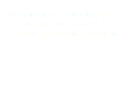 Waterproof Mattress Protector Zip all around (covers entire mattress). Please contact us for more details and pricing.